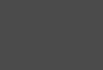 U963 GRIS SOMBRA